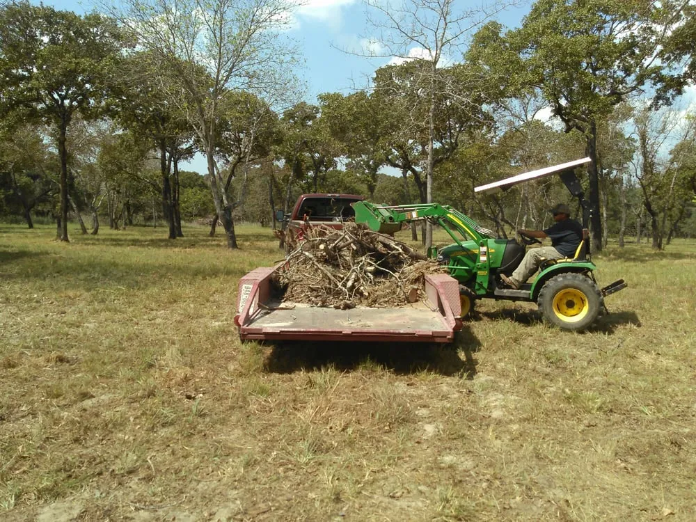 Professional landscaping services in Seguin, TX - Solano Landscaping & Tree Services