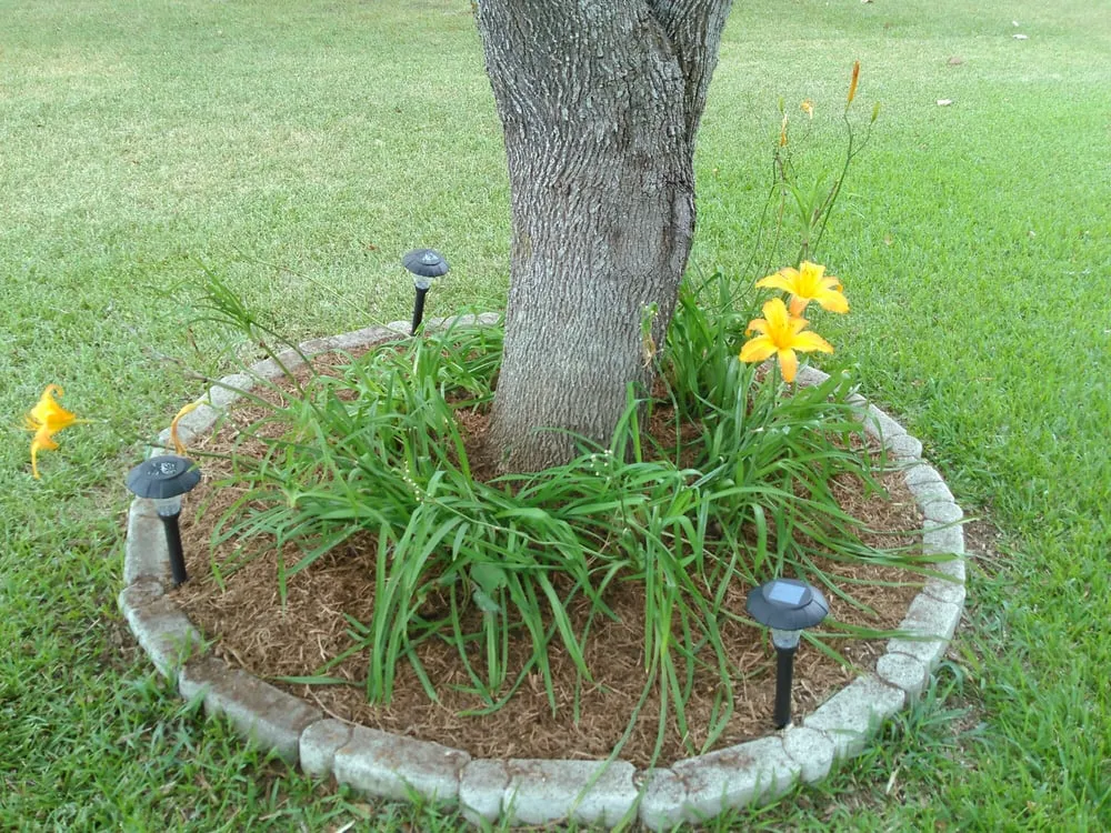 Local yard cleanup service for residential properties in Seguin, TX by Solano Landscaping & Tree Services