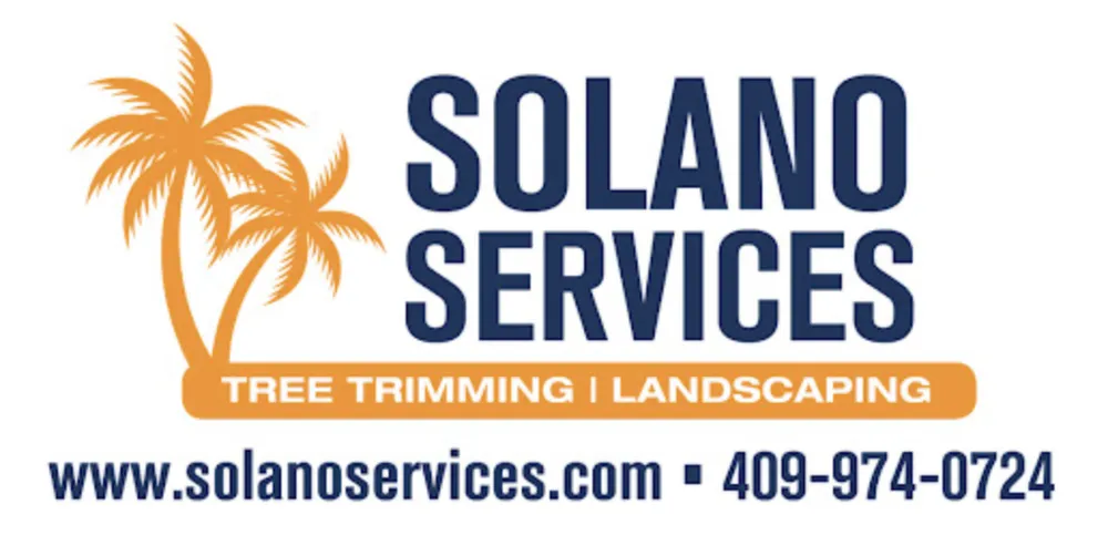 Reliable lawn care service experts serving San Leon, TX - Solano Services Tree Trimming + Landscaping