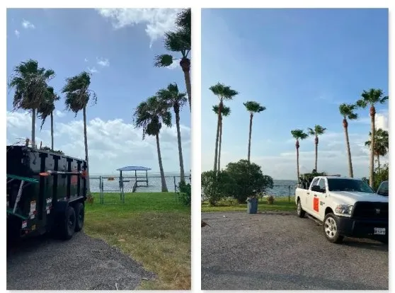 Professional yard maintenance for year-round maintenance in San Leon, TX by Solano Services Tree Trimming + Landscaping