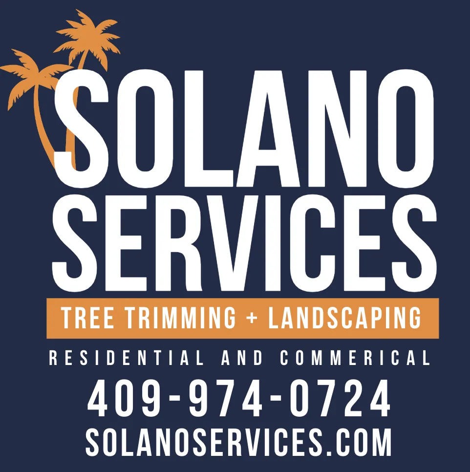 Custom landscape design with custom design in San Leon, TX by Solano Services Tree Trimming + Landscaping