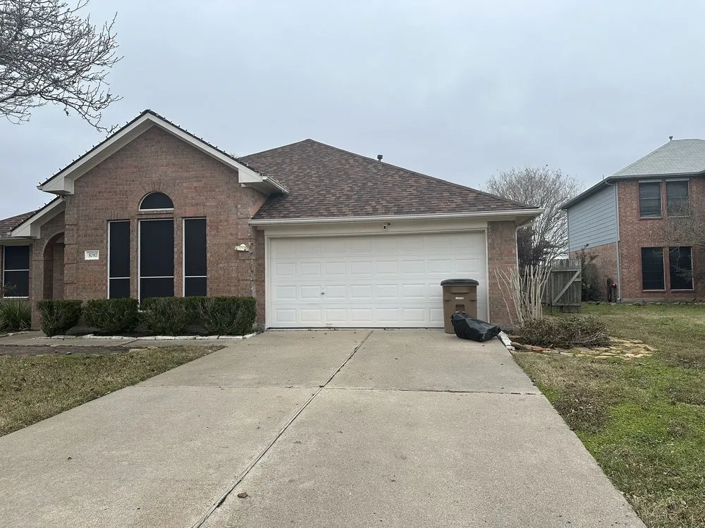 Professional lawn care service in San Leon, TX - Solano Services Tree Trimming + Landscaping