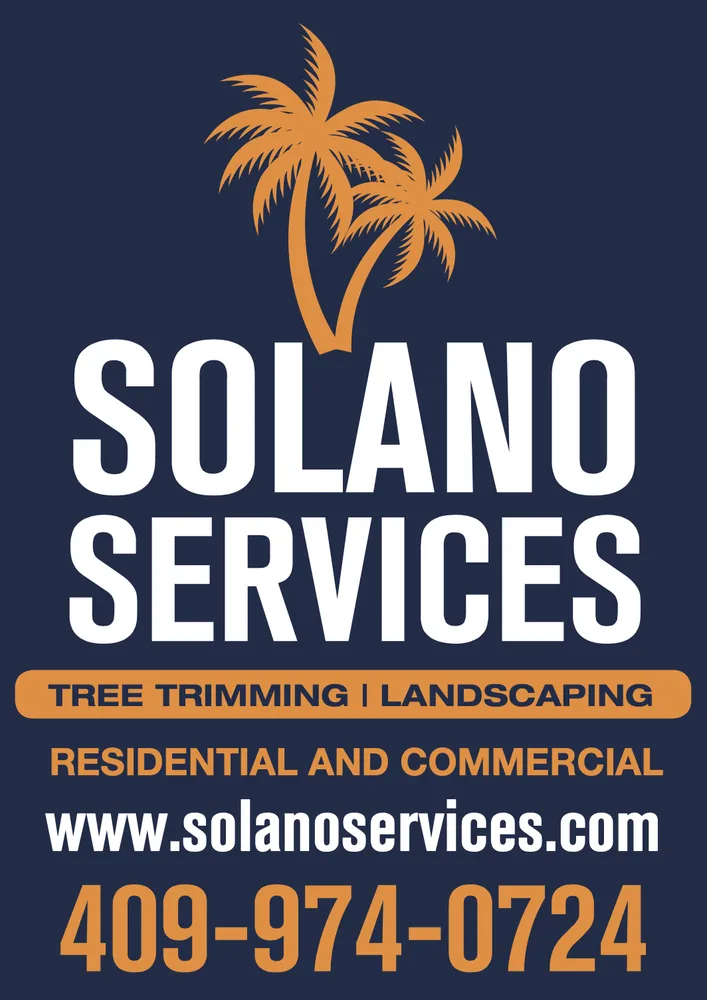 Professional yard cleanup service for outdoor upgrades in San Leon, TX by Solano Services Tree Trimming + Landscaping