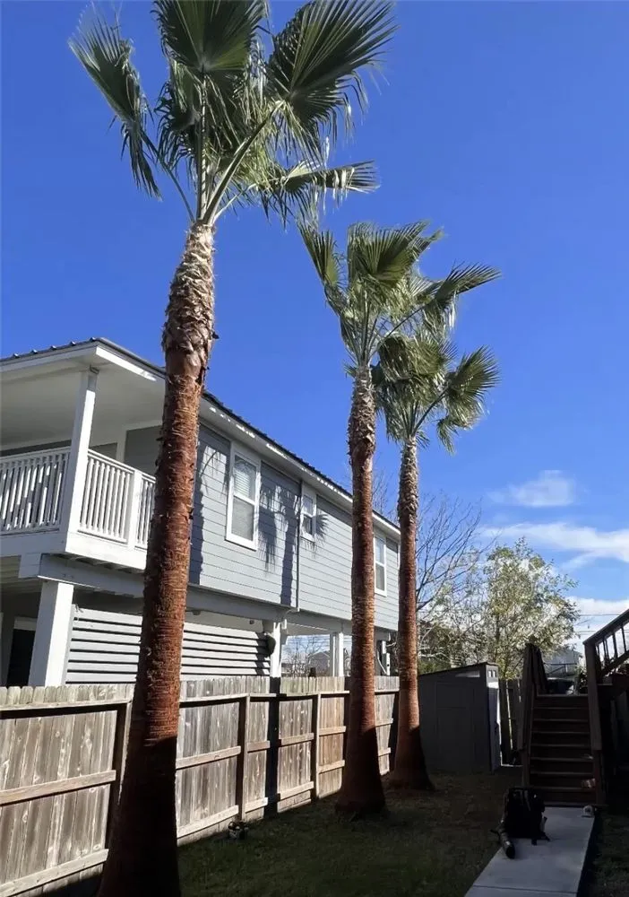 Professional landscape design for year-round maintenance in San Leon, TX by Solano Services Tree Trimming + Landscaping