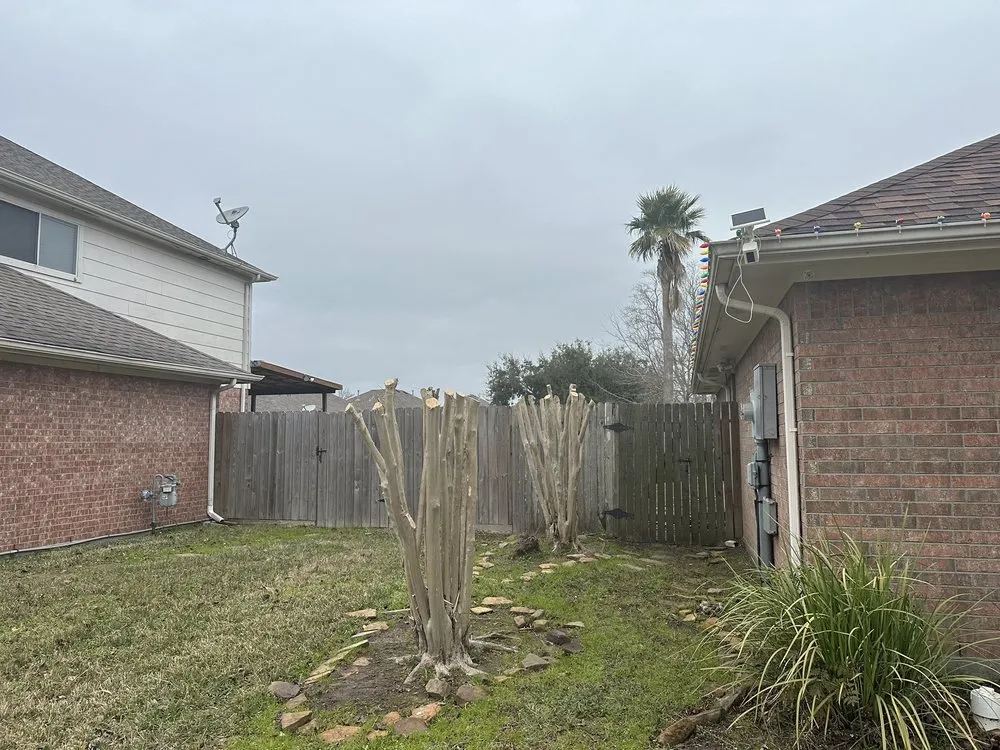 Local yard cleanup service near you in San Leon, TX by Solano Services Tree Trimming + Landscaping