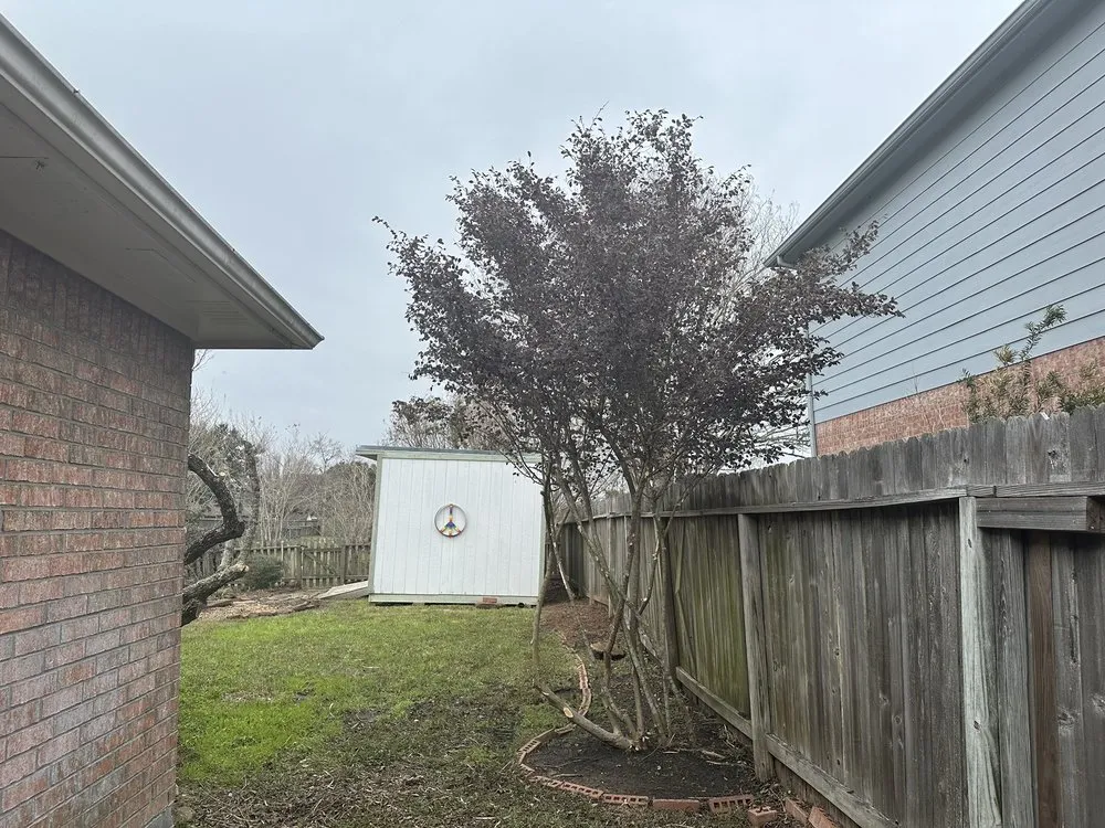 Affordable lawn care service experts serving San Leon, TX - Solano Services Tree Trimming + Landscaping