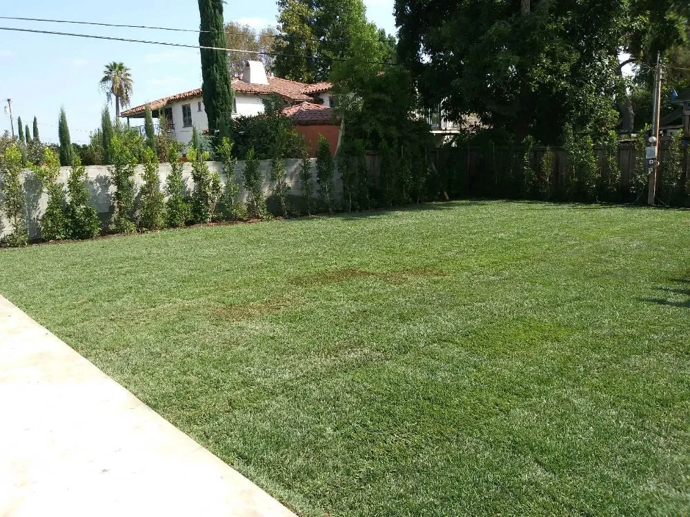 Custom residential landscaping in Monrovia, CA - Solano Tree Service