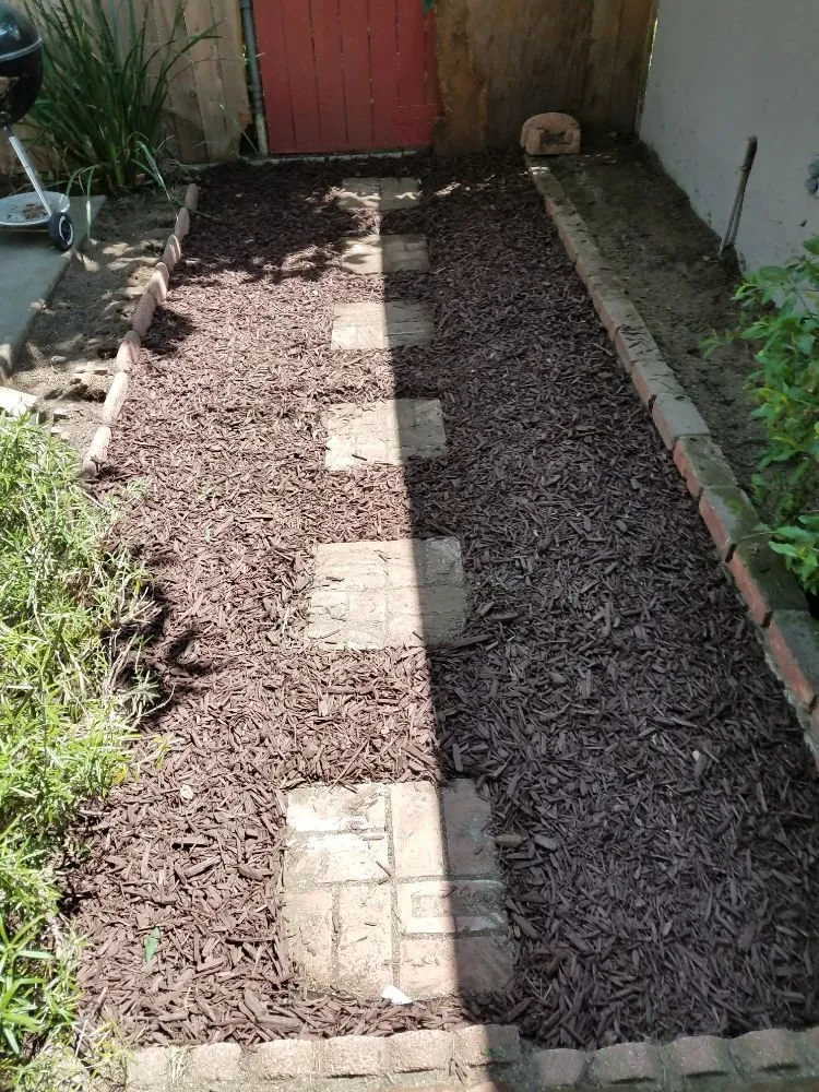 Local landscape design for outdoor upgrades in Monrovia, CA by Solano Tree Service