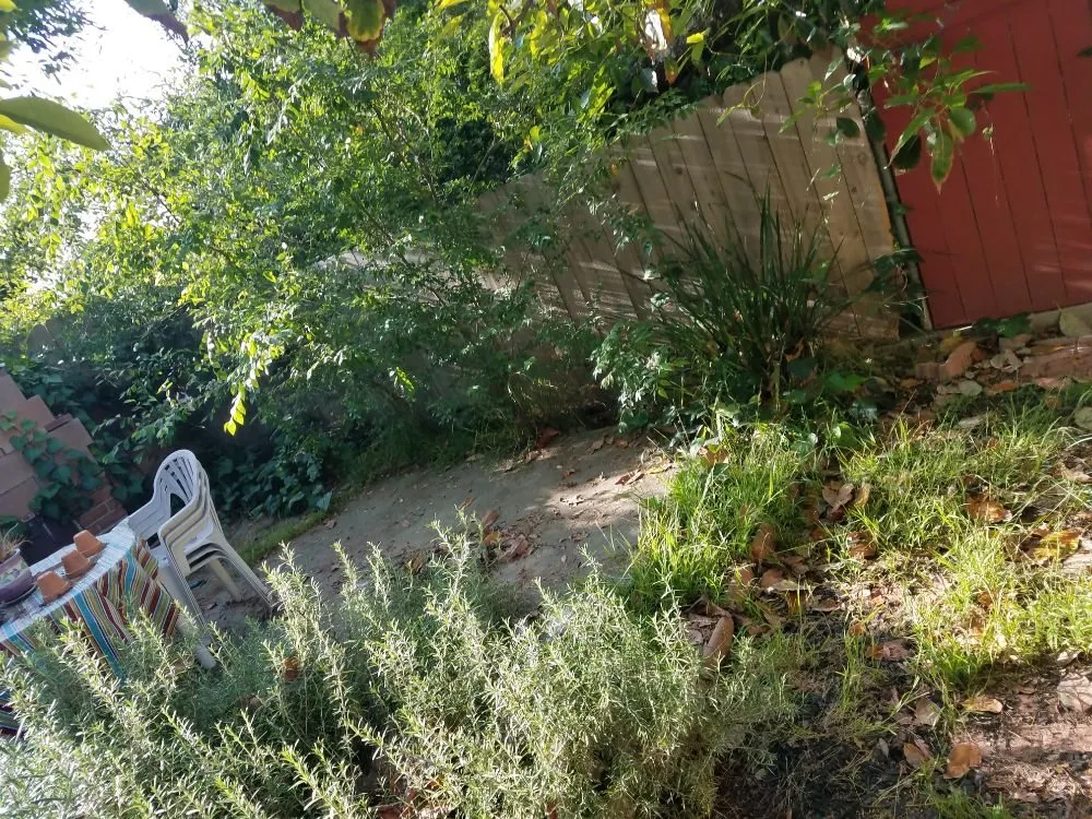 Local garden landscaping for residential properties in Monrovia, CA by Solano Tree Service