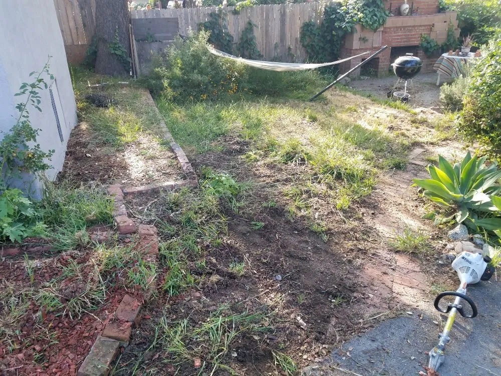 Expert yard maintenance experts serving Monrovia, CA - Solano Tree Service