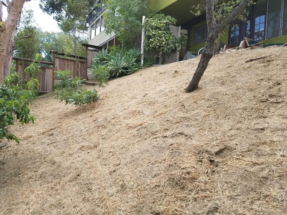 Trusted landscape installation in Monrovia, CA - Solano Tree Service