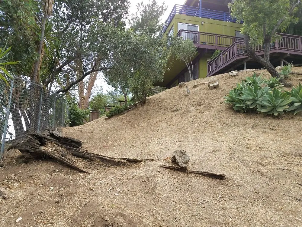 Professional landscaping services in Monrovia, CA by Solano Tree Service