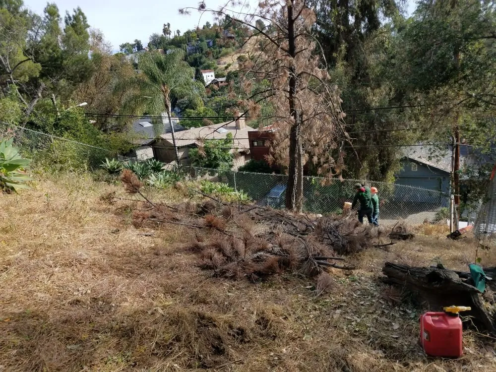 Custom lawn mowing service in Monrovia, CA - Solano Tree Service