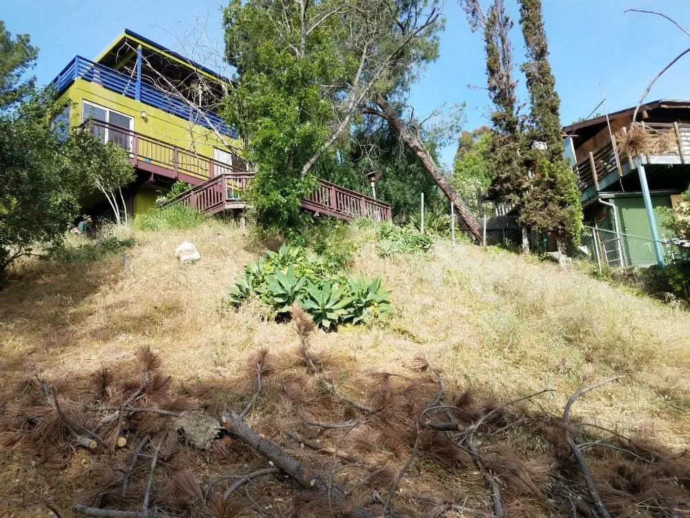 Reliable landscape design in Monrovia, CA - Solano Tree Service