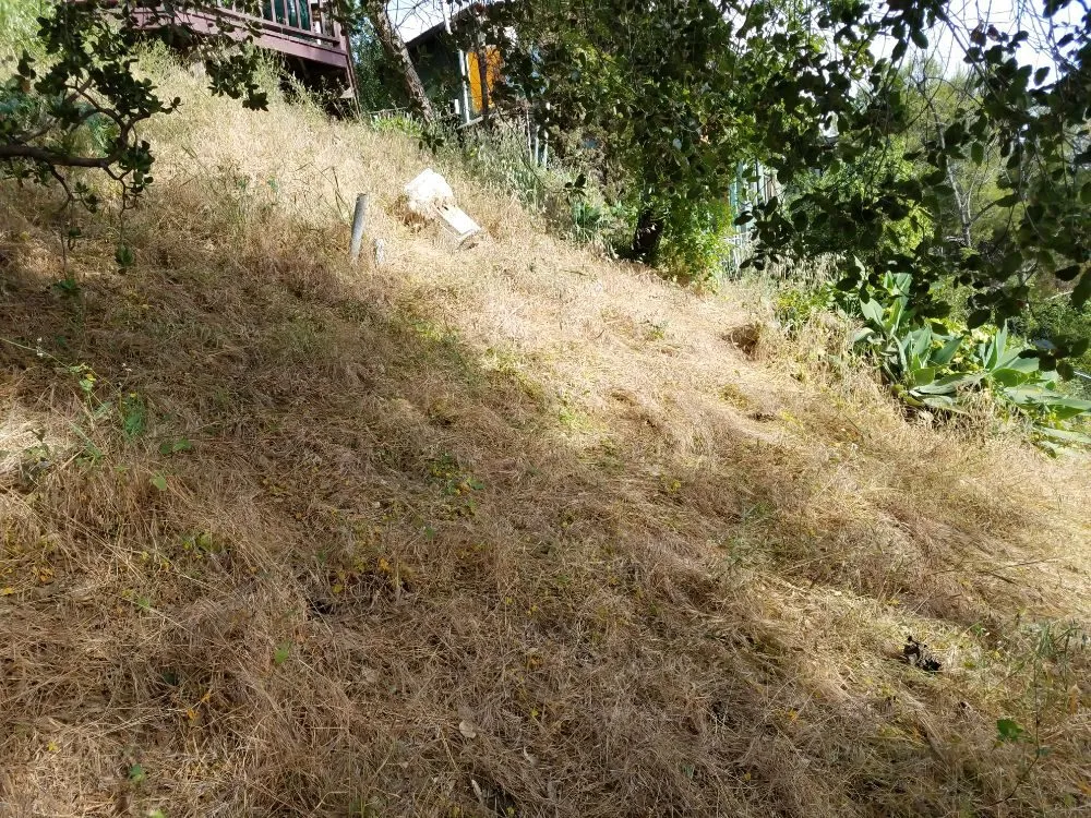 Top-rated landscape installation experts serving Monrovia, CA - Solano Tree Service