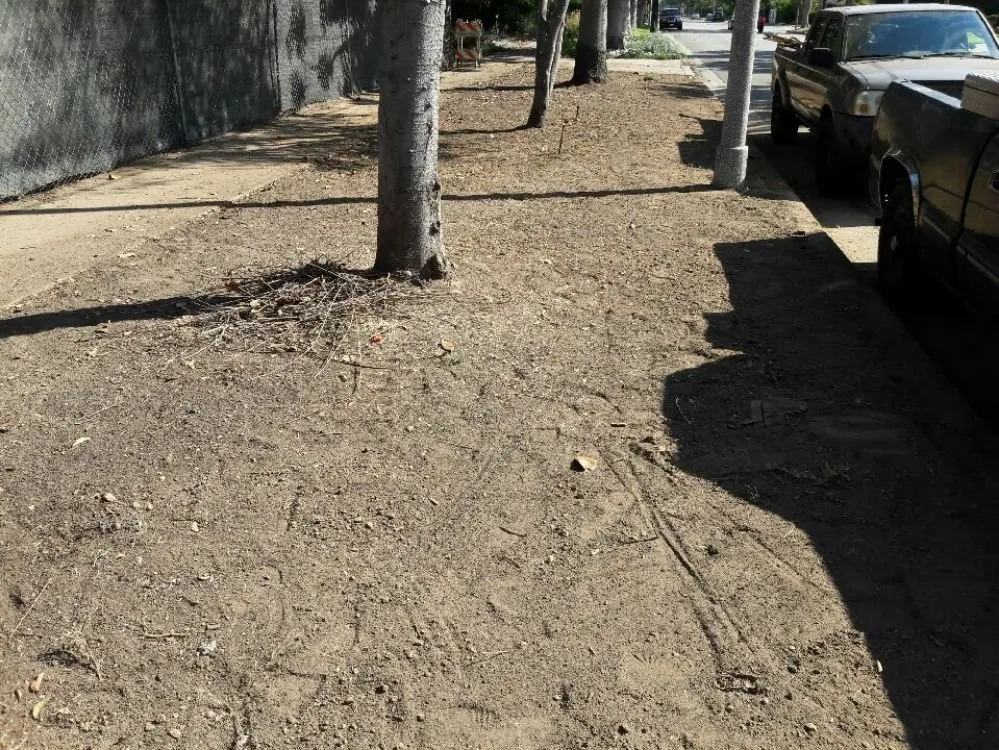 Affordable landscaping services in Monrovia, CA by Solano Tree Service