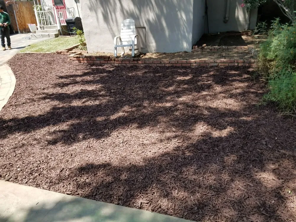 Affordable lawn mowing service for outdoor upgrades across Monrovia, CA - Solano Tree Service