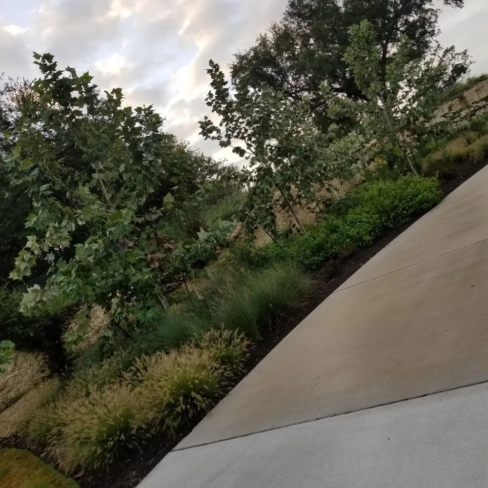 Trusted residential landscaping in San Antonio, TX by Solano's Landscaping