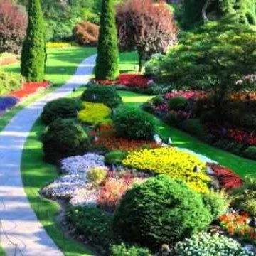 Expert outdoor landscaping for outdoor upgrades across San Antonio, TX - Solano's Landscaping