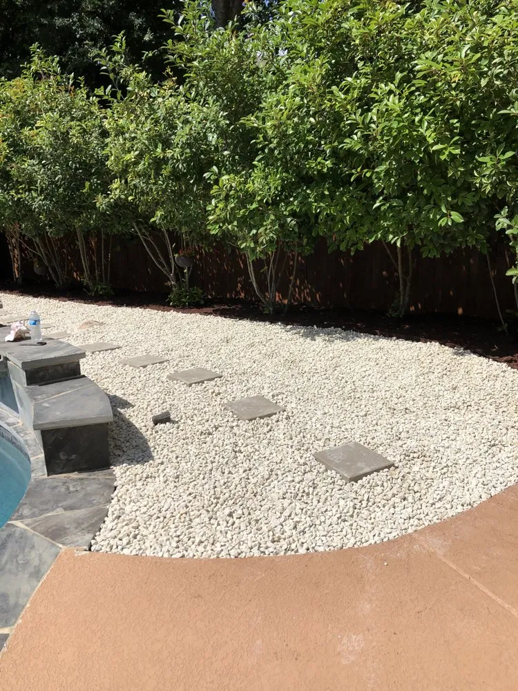 Trusted lawn care service in San Antonio, TX by Solano's Landscaping