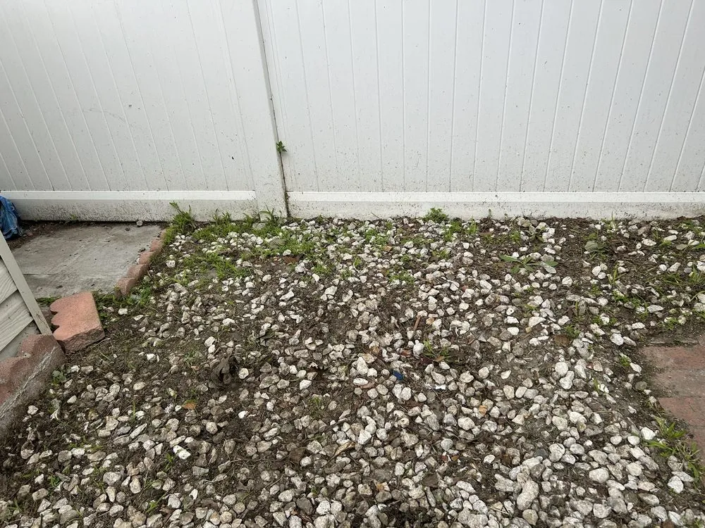 Professional lawn care service near you in Los Angeles, CA by Solano's Tree Service & Landscaping