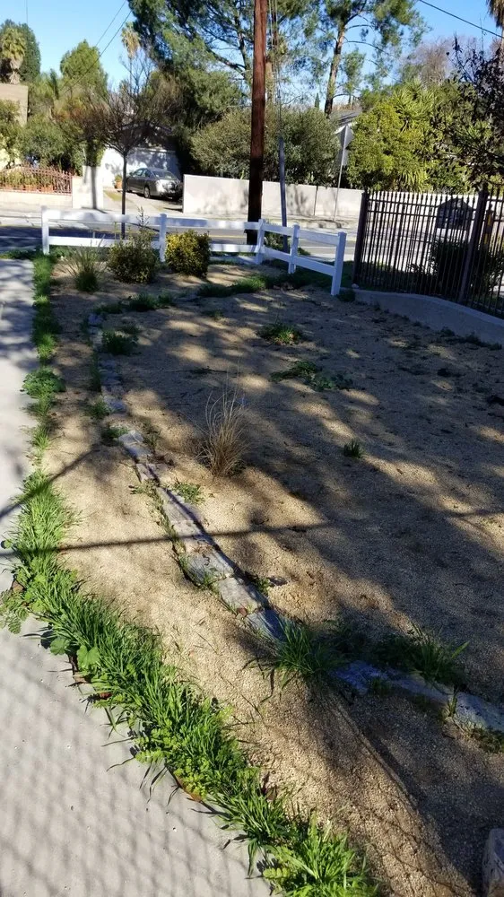 Trusted yard cleanup service for homes in Los Angeles, CA by Solano's Tree Service & Landscaping