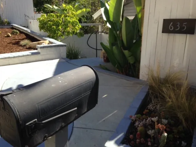 Custom yard maintenance experts serving Los Angeles, CA - Solano's Tree Service & Landscaping