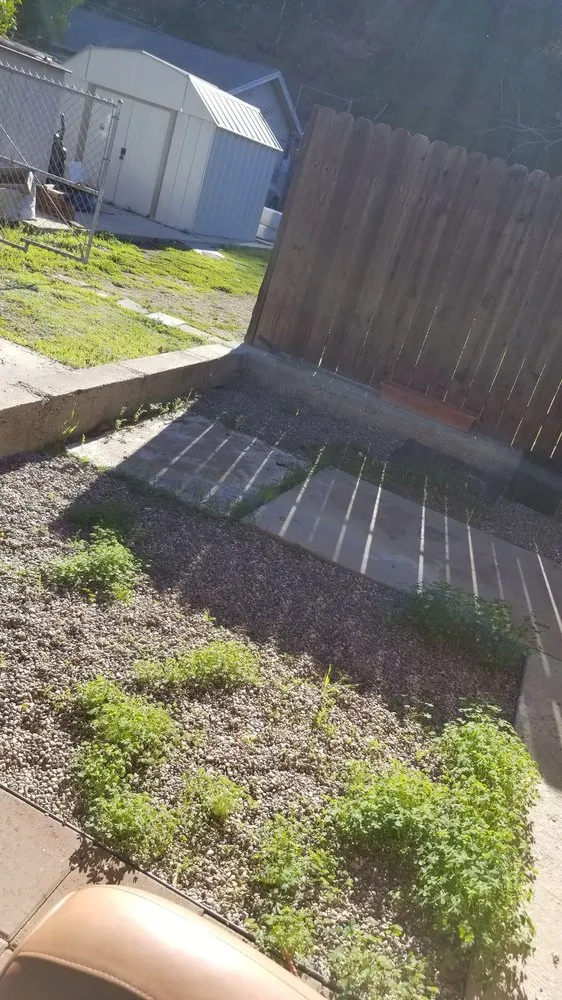 Top-rated outdoor landscaping in Los Angeles, CA - Solano's Tree Service & Landscaping