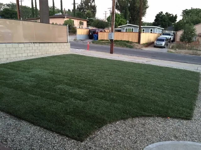 Custom landscape design for residential properties in Los Angeles, CA by Solano's Tree Service & Landscaping