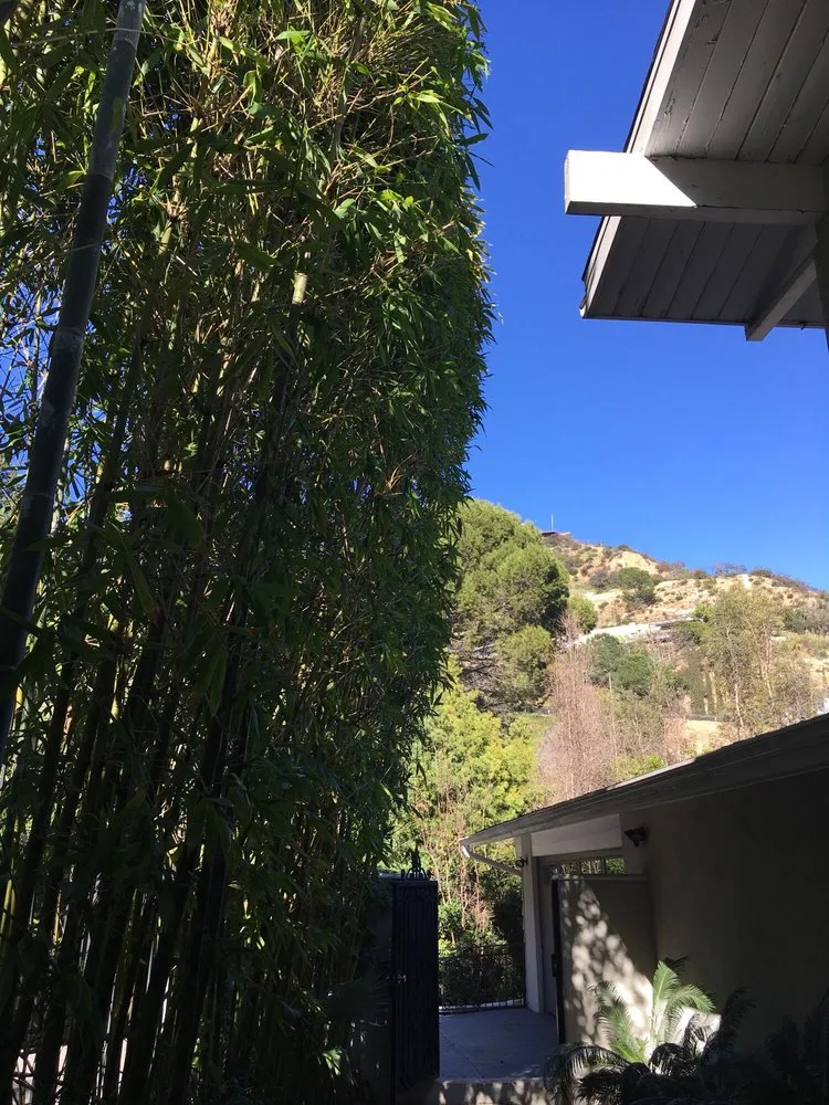 Affordable landscape design for residential properties in Los Angeles, CA by Solano's Tree Service & Landscaping