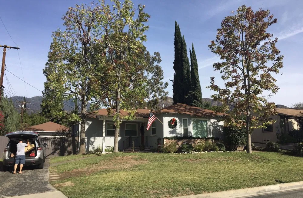 Affordable landscape installation in Los Angeles, CA by Solano's Tree Service & Landscaping