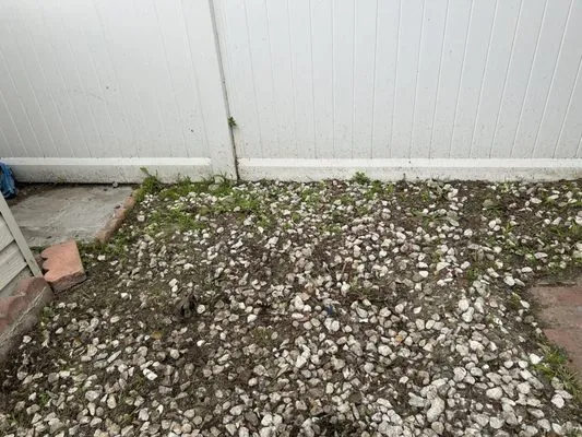 Solano's Tree Service & Landscaping Logo