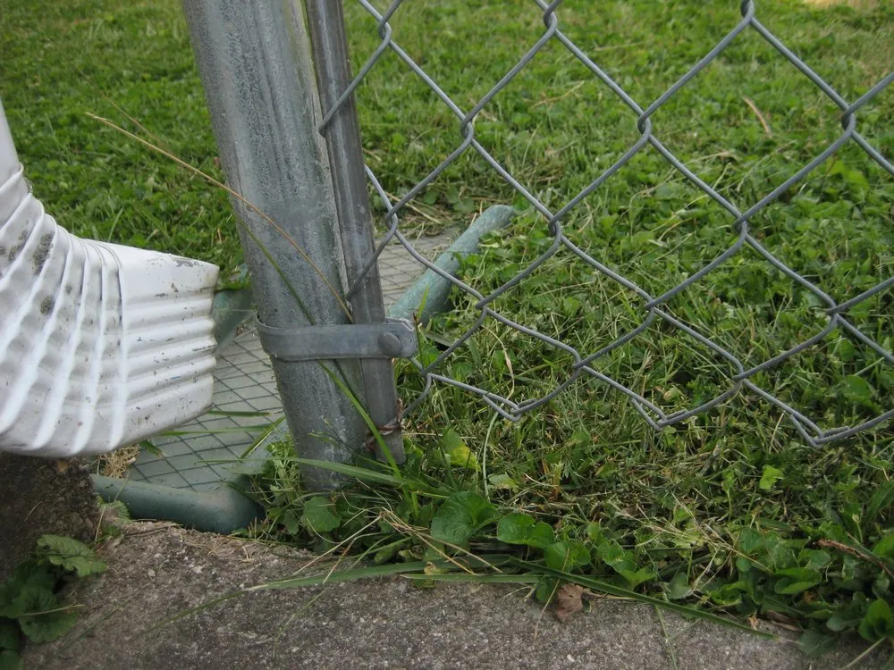 Local landscape installation experts serving Indianapolis, IN - Solar Earth Lawn Care