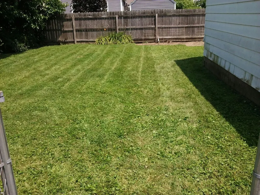 Reliable landscaping services for homes across Indianapolis, IN - Solar Earth Lawn Care