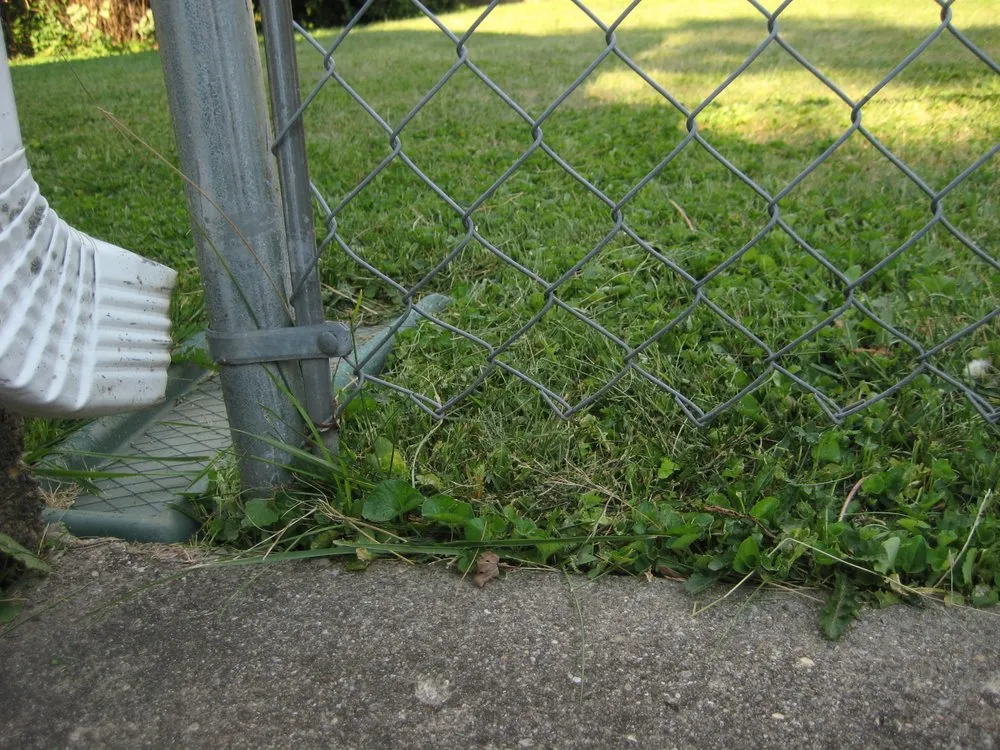 Expert lawn mowing service in Indianapolis, IN by Solar Earth Lawn Care