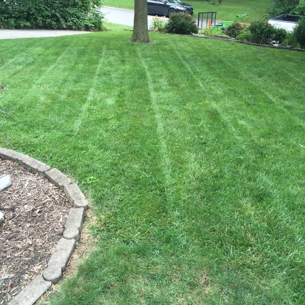 Top-rated garden landscaping in Indianapolis, IN - Solar Earth Lawn Care