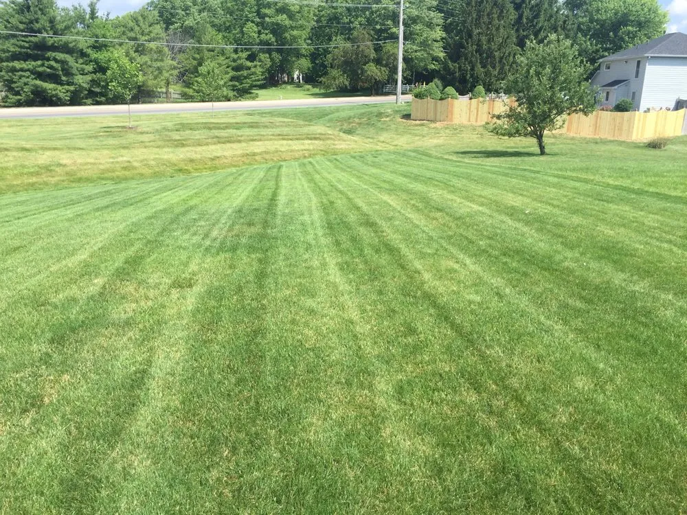 Affordable residential landscaping experts serving Indianapolis, IN - Solar Earth Lawn Care