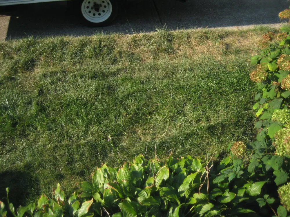 Expert residential landscaping experts serving Indianapolis, IN - Solar Earth Lawn Care