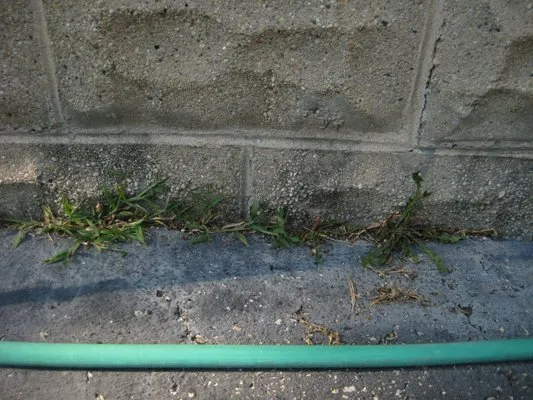 Solar Earth Lawn Care Logo