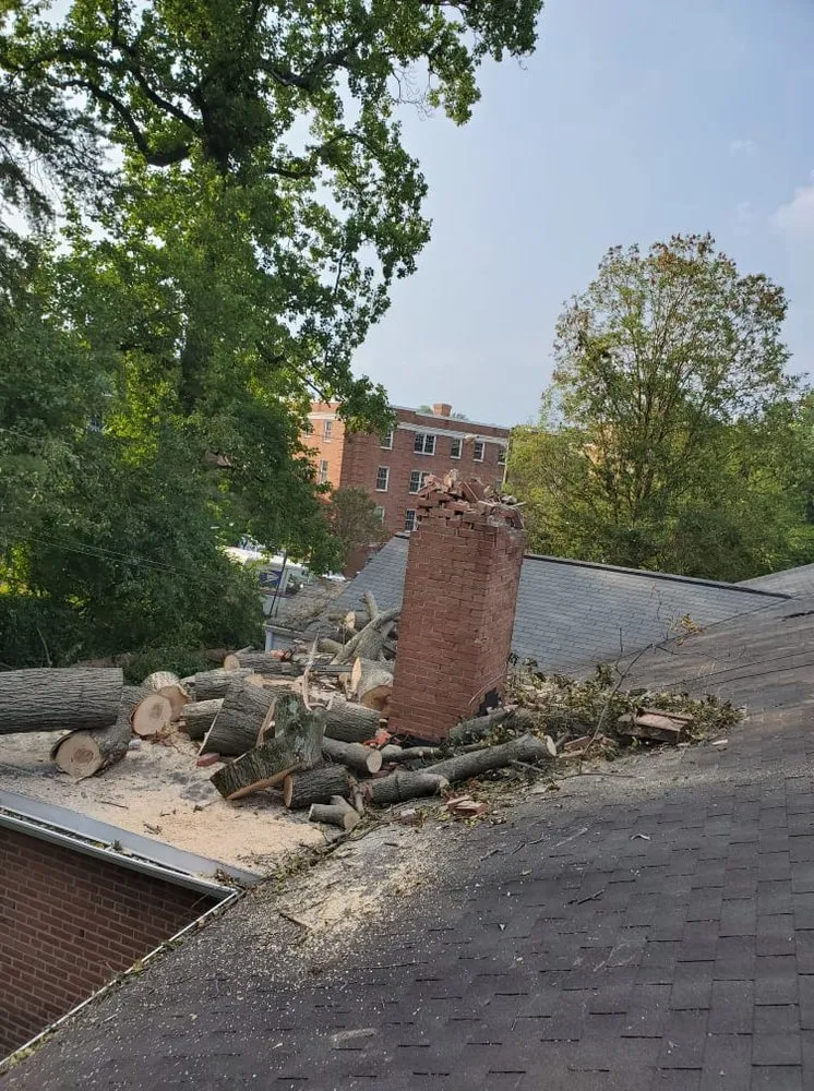 Trusted outdoor landscaping experts serving McLean, VA - Solar Landscaping & Tree Service - McLean