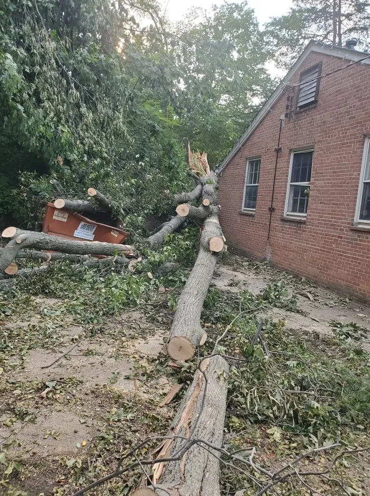 Expert landscaping services experts serving McLean, VA - Solar Landscaping & Tree Service - McLean