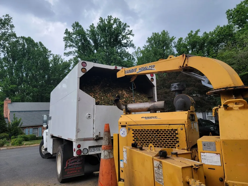 Local yard cleanup service with custom design in McLean, VA by Solar Landscaping & Tree Service - McLean