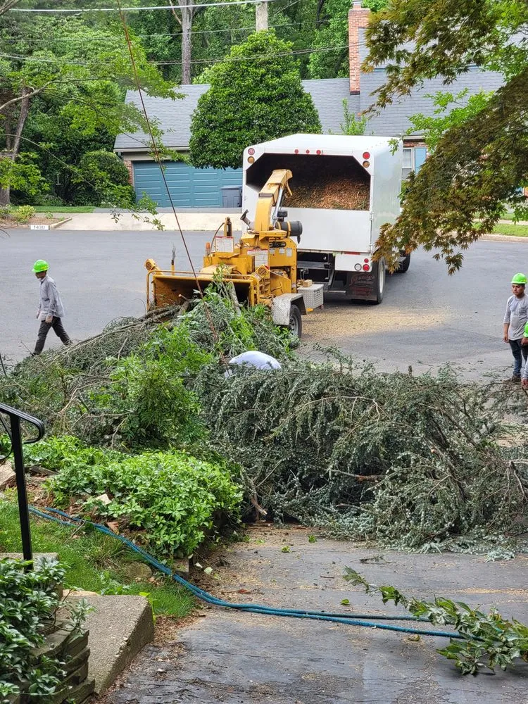 Expert yard cleanup service for outdoor upgrades across McLean, VA - Solar Landscaping & Tree Service - McLean