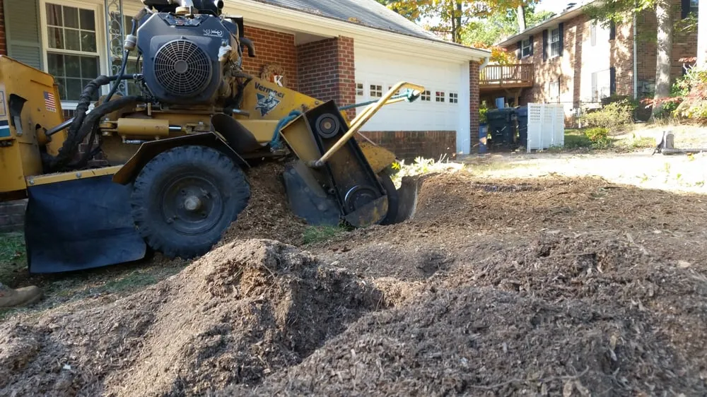 Expert lawn care service experts serving Bristow, VA - Solar Landscaping & Tree Service