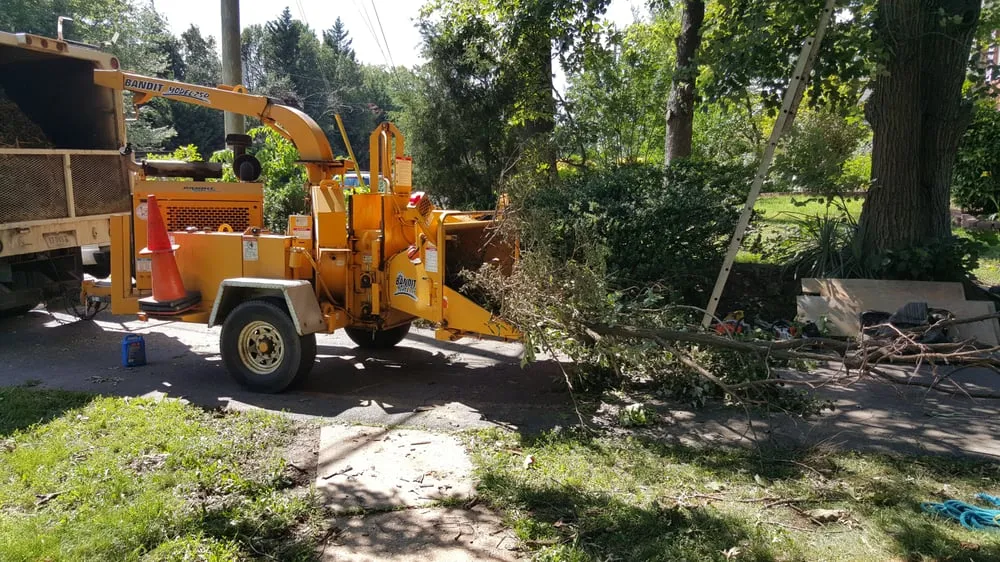 Custom lawn care service experts serving Bristow, VA - Solar Landscaping & Tree Service