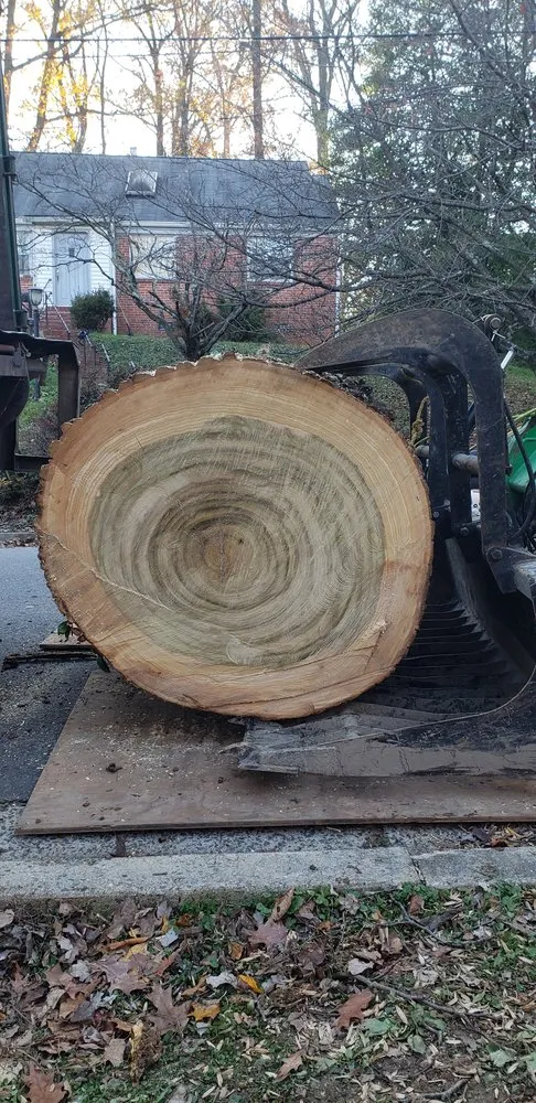 Reliable outdoor landscaping in Bristow, VA by Solar Landscaping & Tree Service