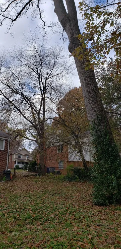 Top-rated lawn mowing service in Bristow, VA by Solar Landscaping & Tree Service