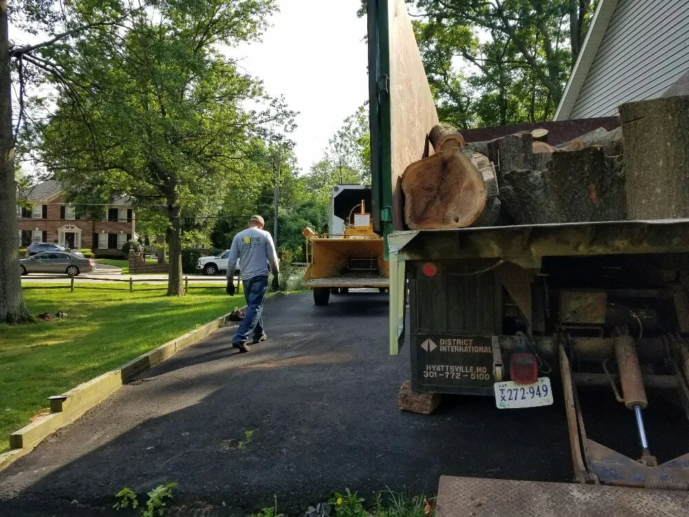 Professional outdoor landscaping for outdoor upgrades across Bristow, VA - Solar Landscaping & Tree Service