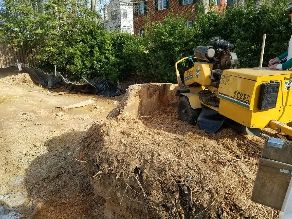 Affordable outdoor landscaping in Bristow, VA by Solar Landscaping & Tree Service