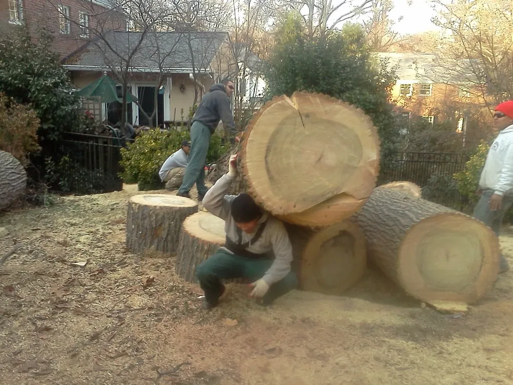 Local landscape design in Bristow, VA by Solar Landscaping & Tree Service